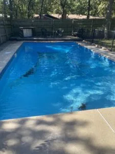 Vinyl-lined inground pool with algae-stained water before removal in Grapevine TX backyard with wood privacy fence and concrete surround