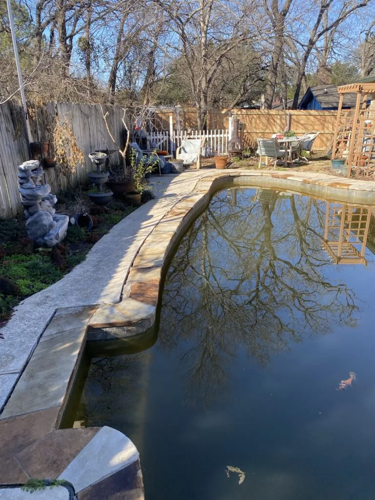 Neglected residential inground pool with murky water and aging flagstone coping in Arlington TX backyard before partial pool removal