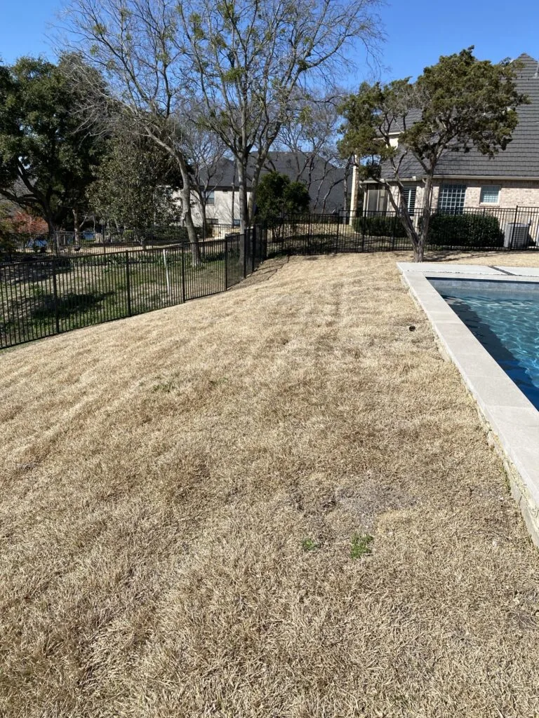 Sloped residential backyard beside an inground pool before retaining wall construction levels the yard, Fort Worth TX