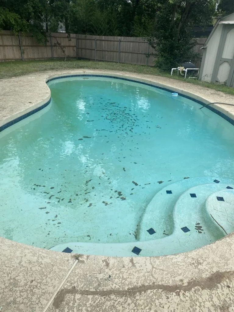 Neglected freeform backyard pool with algae-filled water and cracked concrete deck before partial pool removal in Fort Worth, TX