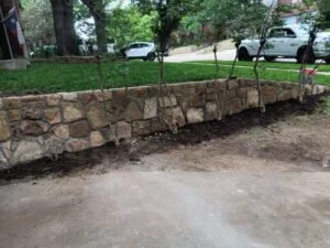 Natural stone retaining wall along a residential driveway in Grapevine TX, holding a raised planting bed with young trees