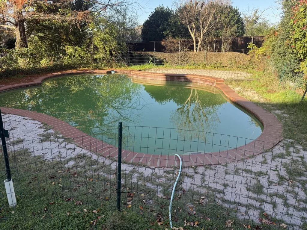 Neglected kidney-shaped backyard pool filled with green algae-clouded water, brick coping, and temporary wire safety fence awaiting removal in Plano TX